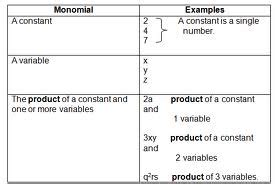 Monomial: Definition, Examples & Factors - Video & Lesson Transcript ...