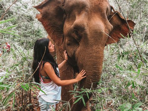 %Visiting Mondulkiri Project Elephant Sanctuary%