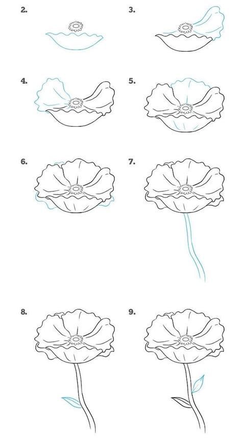 how-to-draw-a-flower-step-by-step-drawing-diy-tutorial-white-background ...