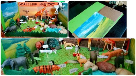 How to make Grassland Habitat Model/Grassland Habitat Diorama School project for kids. - YouTube