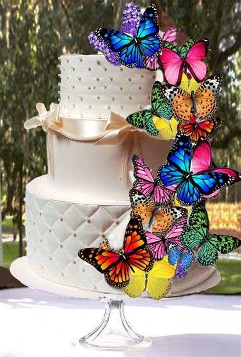 EDIBLE BUTTERFLIES-Multi-Color Assortment Butterfly Cake