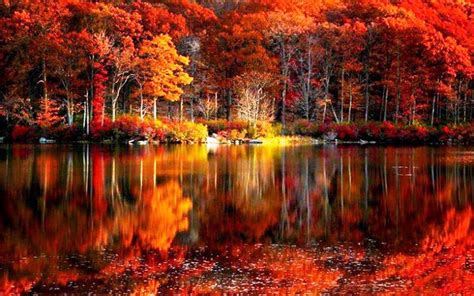 Autumn Lake Desktop Wallpaper - WallpaperSafari