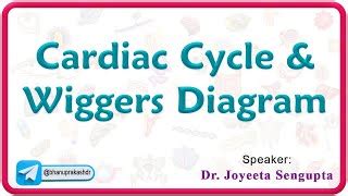 Cardiac Cycle u0026 Wiggers Diagram : Cardiovascular Ph... | Doovi