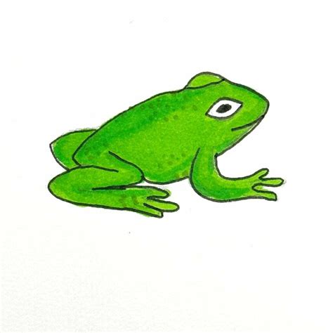 11 Easy Frog Drawing Ideas