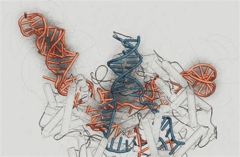 New trends in a human gene therapy