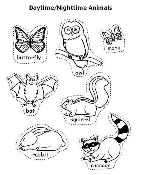 Coloring Pages Hibernating Animals