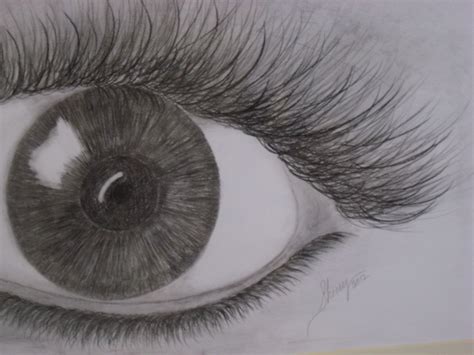 Eye Drawing