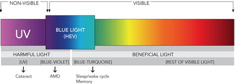 Blue Light Emitted From Digital Devices May Accelerate Blindness