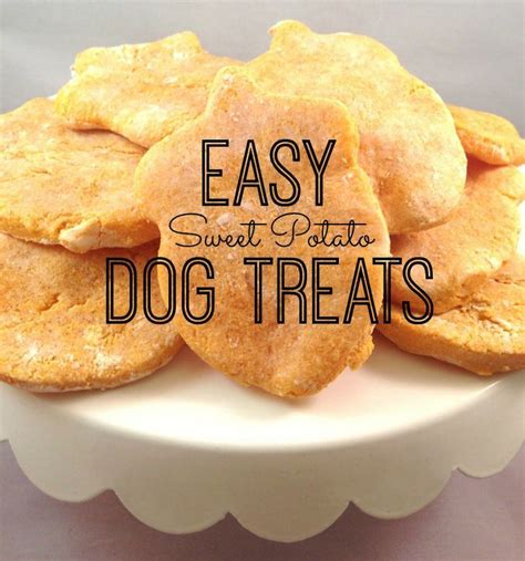 15 Great Diabetic Dog Treat Recipes – Easy Recipes To Make at Home