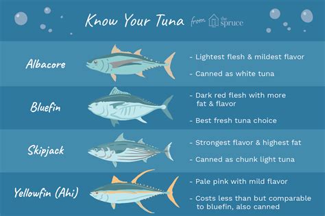 What Is Tuna?