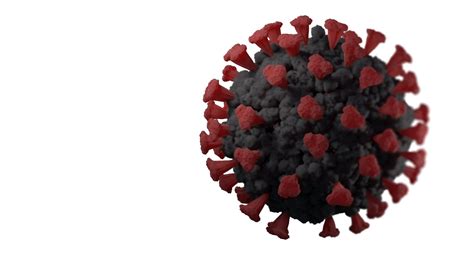 Single COVID Virus Free Stock Photo - Public Domain Pictures