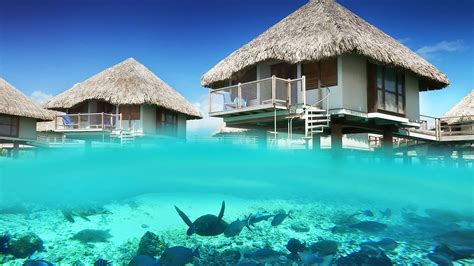 Modern Hotel in Bora Bora | Le Méridien Bora Bora