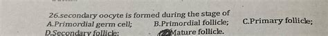 Solved 26.secondary oocyte is formed during the stage ofA. | Chegg.com
