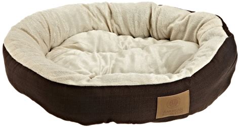 The Benefits of Dog Beds For You and Your Dog – InspirationSeek.com