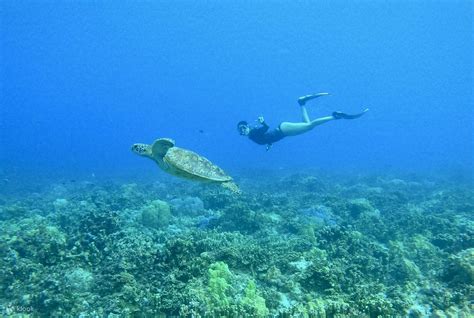 Best Freediving Tour in Guam - Klook