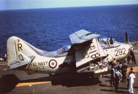 Gannet AS4, XA418 of 815 NAS, onboard Ark Royal,1958,photo by Mark ...