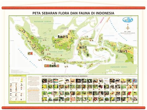 Peta Persebaran Flora Dan Fauna Di Indonesia - Riset