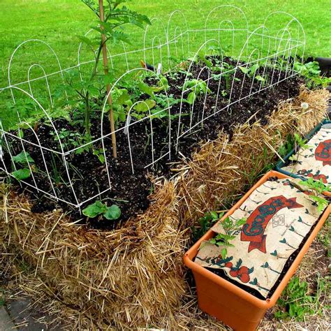 How to Start a Straw Bale Garden