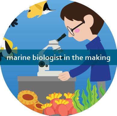 marine biologist clipart 10 free Cliparts | Download images on Clipground 2024