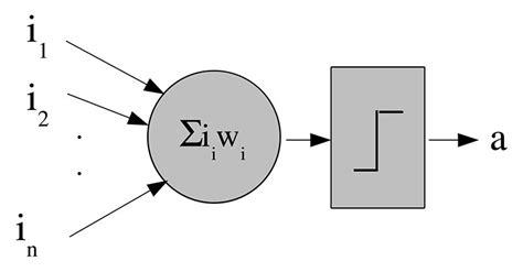 The Perceptron Circuit | Nuts & Volts Magazine