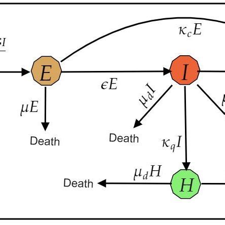 Transmission diagram of COVID-19 model. | Download Scientific Diagram