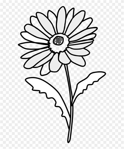 Daisy Flower Clipart Black And White Png