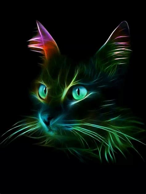 Neon Cat HD Wallpapers - Top Free Neon Cat HD Backgrounds - WallpaperAccess