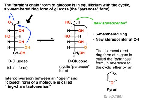 Glucose Ring Structure Formation