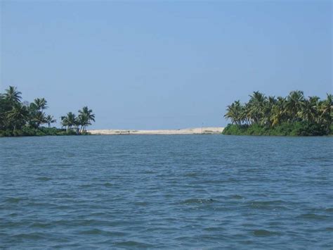 Ashtamudi Lake Kollam | Hotels, Resorts, Images, best time