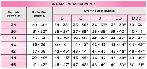 How To Find Your Bra Size Chart