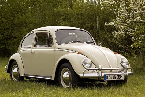 Volkswagen Beetle - Wikipedia