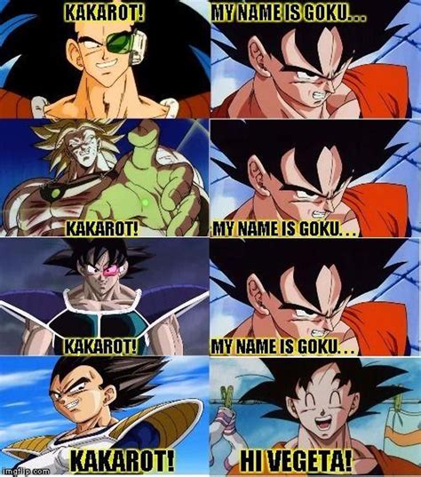 20 Hilarious Memes About Goku And Vegeta's Relationship