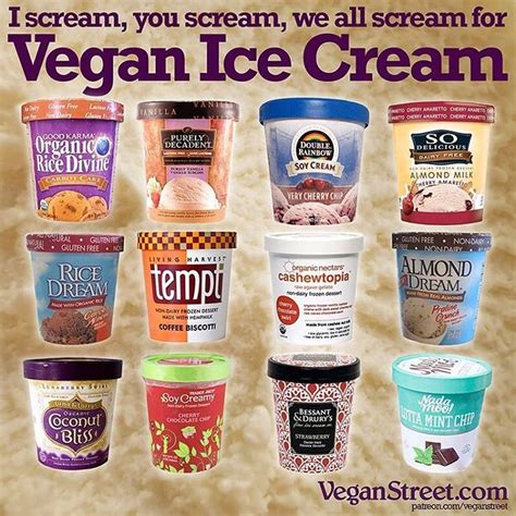 25+ best ideas about Vegan Ice Cream Brands on Pinterest | Dehydrated food recipes, Brands of ...