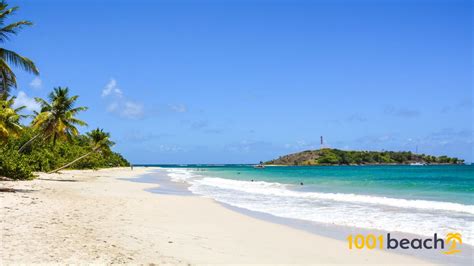 Download Martinique Beaches Images | Andie Diaz