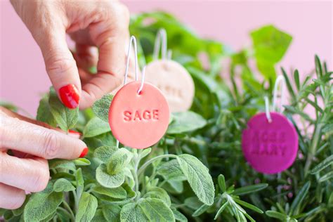 Herb Garden Plant Labels DIY - YES! we made this