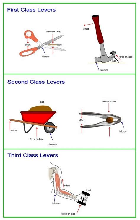 Diagram Of A Lever