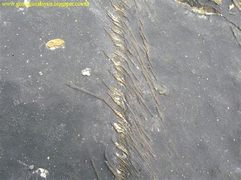 Blog Geologi Malaysia: Shear zone structure