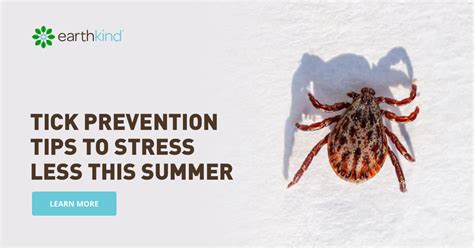 Tick Prevention Tips to Stress Less this Summer | Earthkind