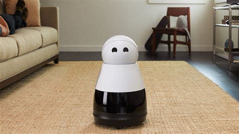 12 Personal Robots for Your Home