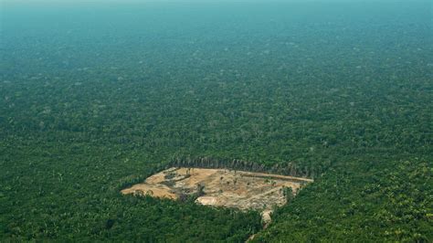 Deforestation of Brazil's Amazon rainforest reaches…