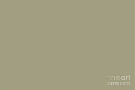 Muted Sage Green Solid Color Accent Shade Pairs Sherwin Williams Herbal Wash SW 7739 Digital Art ...