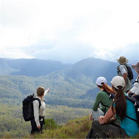 Scenic Rim Experience Tour | Scenic Rim Walking Trips Queensland