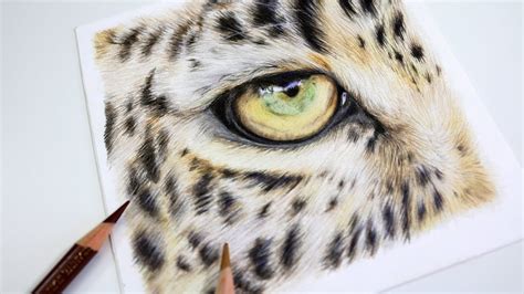 How to Draw a Realistic Leopard Eye | Colored Pencil Drawing Tutorial ...