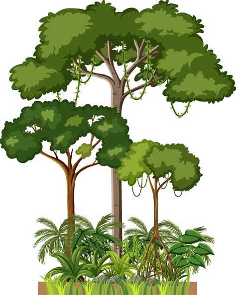 Jungle Tree Clip Art