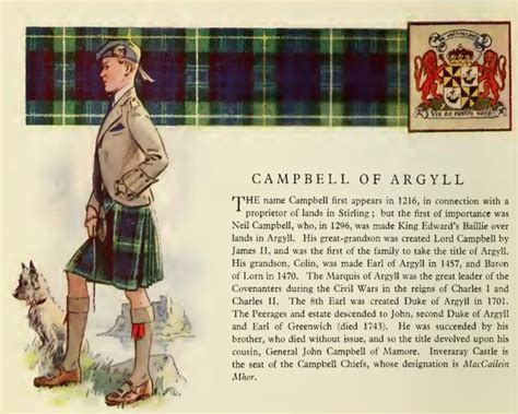 Campbell Tartan, Campbell Clan, Scottish Clan Tartans, Scottish Clans, Celtic Heritage, My ...