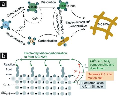 Schematic illustrations of the reaction mechanism. (a) The proposed ...