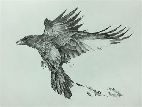 Raven In Flight Drawing at PaintingValley.com | Explore collection of ...