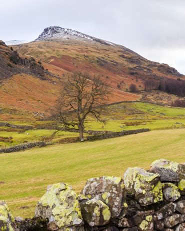 Lake District Scenery Stock Photo - Download Image Now - Coastline, Cumbria, England - iStock