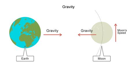 Gravity Force Diagram