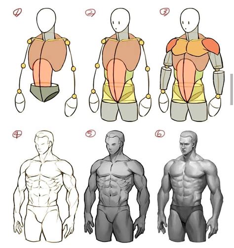 Male Body Drawing, Human Anatomy Drawing, Guy Drawing, Drawing People ...